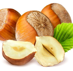 काजू-बादाम से ज्यादा ताकतवर निकला ये ड्राई फ्रूट, सूखी पसलियों पर चढ़ा देगा मांस, आखिरी सांस तक रहेंगे जवान।