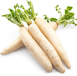 मूली के साथ भूलकर भी न खाएं ये 5 चीजें, सेहत को हो सकता है भारी नुकसान।