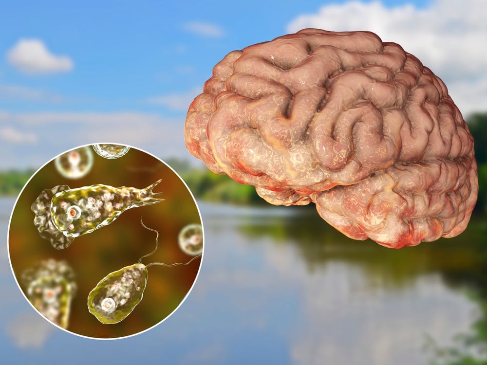 केरल में दिमाग खाने वाले अमीबा के दो नए मामले आए सामने, स्वास्थ्य अधिकारियों ने जारी की चेतावनी!