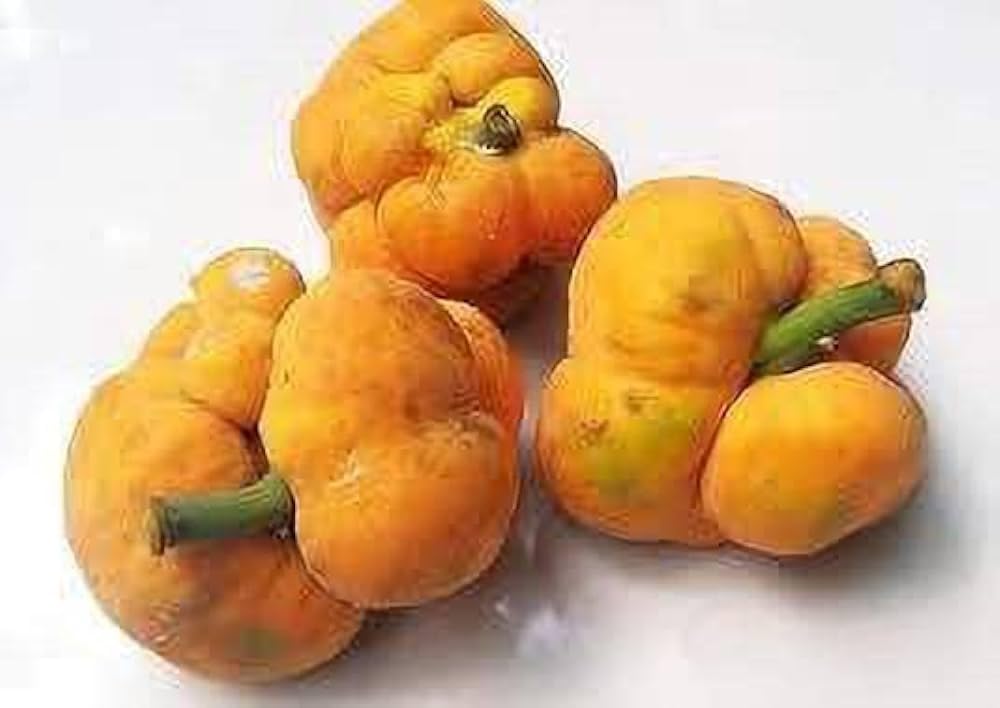 जवानी और सेहत का खजाना: कभी बूढ़ापा नहीं आने देता ये चमत्कारी फल, कीमत सिर्फ 5 रुपये....