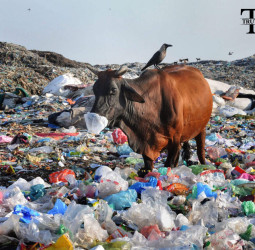 पर्यावरण पर संकट! प्लास्टिक कचरा फैलाने के मामले में भारत नंबर 1, चौथे नंबर पर चीन।