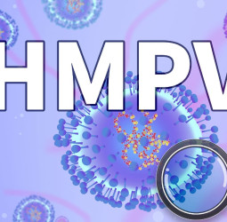 चीन के बाद भारत में भी फैला HMPV वायरस! कर्नाटक में 3 और 8 महीने के बच्चे संक्रमित, अलर्ट जारी।